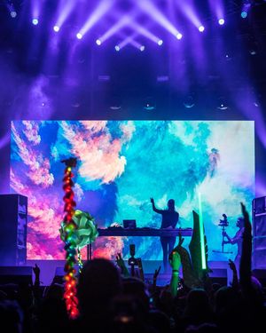 Image post by @electric_forest on Instagram