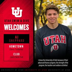 Image post by @utahswimdive on Instagram