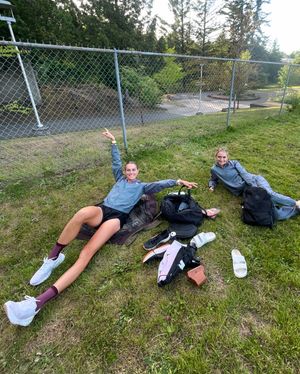 Image post by @steeple_squigs on Instagram