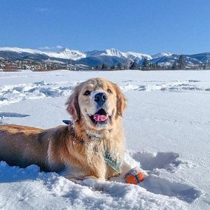 Image post by @winterparkresort on Instagram