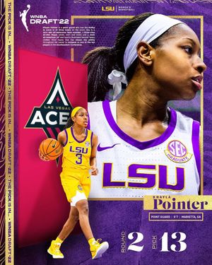 Image post by @lsuwbkb on Instagram