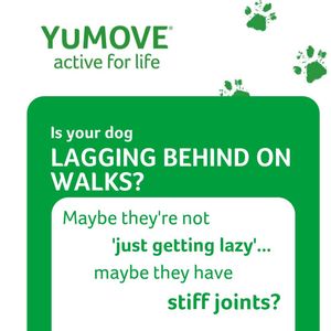 Image post by @yumove_usa on Instagram
