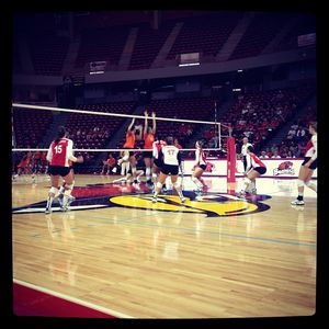 Image post by @isuredbirds on Instagram
