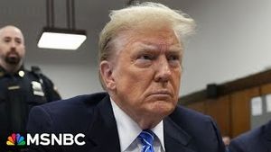 Video post by @msnbc on YouTube