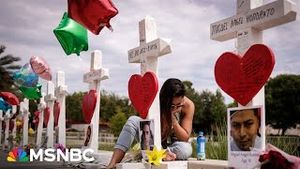 Video post by @msnbc on YouTube