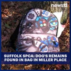 Image post by @news12li on Instagram