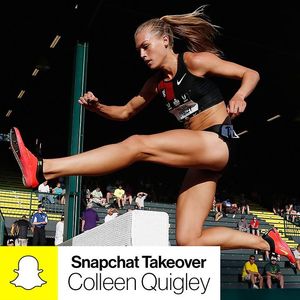 Image post by @steeple_squigs on Instagram
