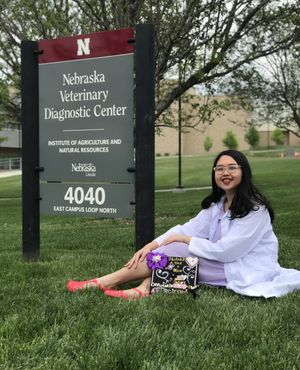Image post by @unlcareers on Instagram