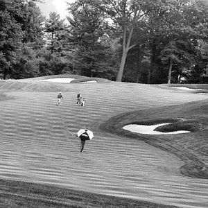 Image post by @mga1897 on Instagram