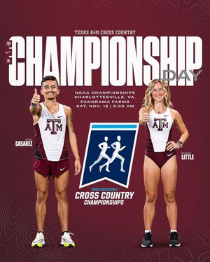 Image post by @aggietfxc on Instagram