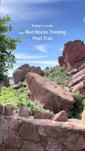 Video post by @liazneimer on TikTok
