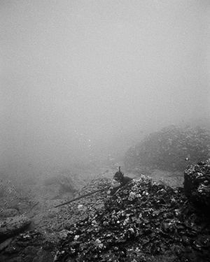 Image post by @florence_marine_x on Instagram