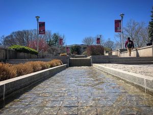 Image post by @stonybrooku on Instagram