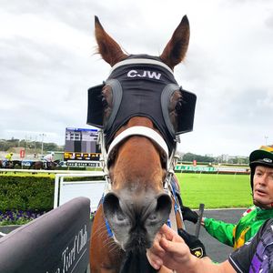 Image post by @australianturfclub on Instagram