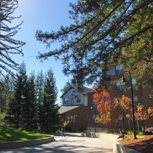 Image post by @ucsc on Instagram