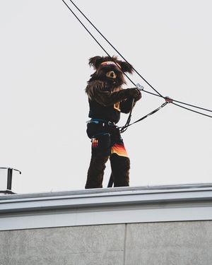 Image post by @suuthunderbirds on Instagram