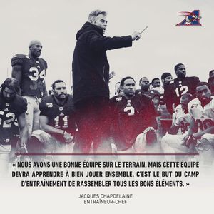 Image post by @mtlalouettes on Instagram