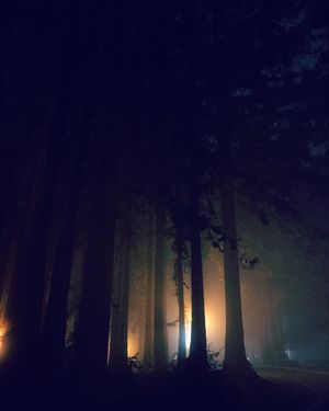 Image post by @ucsc on Instagram