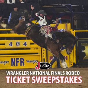 Image post by @justinboots_ on Instagram