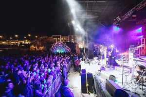 Image post by @treefortfest on Instagram