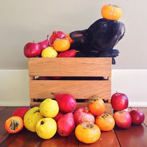 Image post by @jambajuice on Instagram