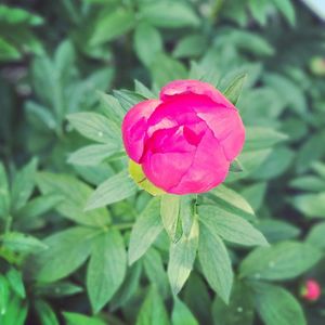 Image post by @lifesadiscoball on Instagram