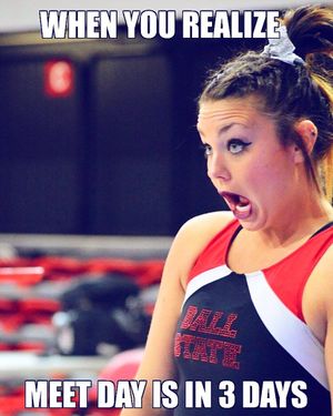 Image post by @ballstategym on Instagram
