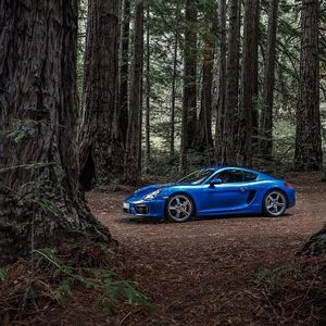 Image post by @porsche on Instagram