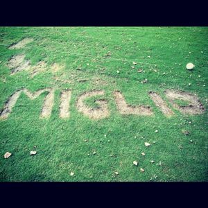 Image post by @migliaus on Instagram