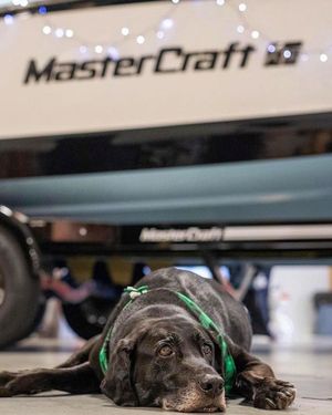 Image post by @mcboatcompany on Instagram