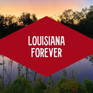 Image post by @lafishfry on Instagram