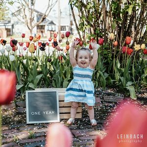 Image post by @leinbachphotography on Instagram