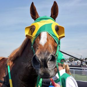 Image post by @australianturfclub on Instagram