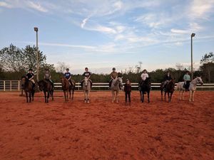 Image post by @appalachianequestrian on Instagram