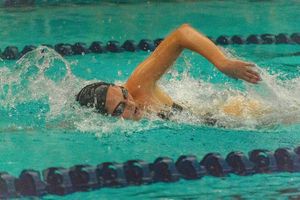 Image post by @ohiostswimdive on Instagram
