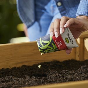 Image post by @bonnieplants on Instagram