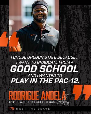 Image post by @beavermbb on Instagram