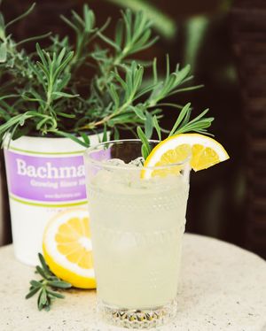 Image post by @shopbachmans on Instagram