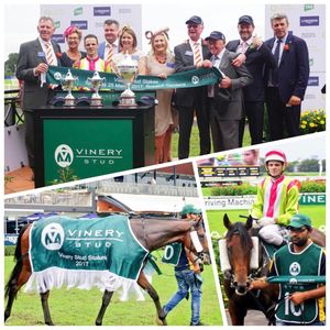 Image post by @australianturfclub on Instagram