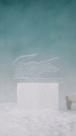 Video post by @lacoste on TikTok