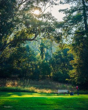 Image post by @pga on Instagram