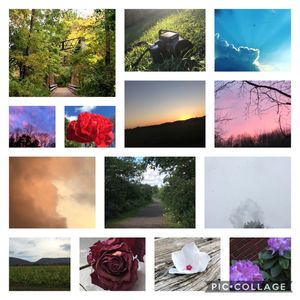 Image post by @scleggphotography on Instagram