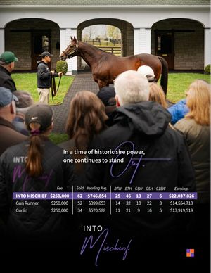 Image post by @theTDN on Twitter