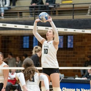 Image post by @vandalvolleyball on Instagram