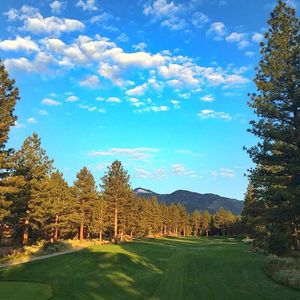 Image post by @barracudachampionship on Instagram