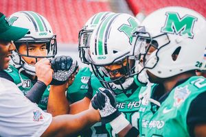 Image post by @herd_fb on Instagram