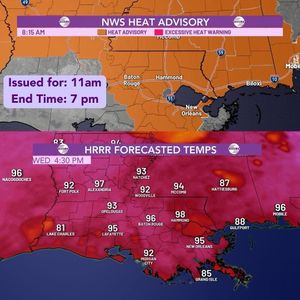 Image post by @lsutigertv on Instagram