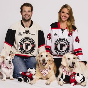 Image post by @quebec_remparts on Instagram