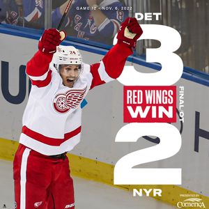 Image post by @DetroitRedWings on Twitter