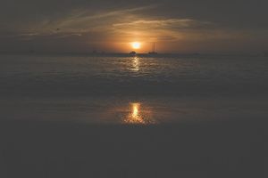 Image post by @adrianwilliamsnyc on Instagram